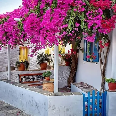 Taverne Inos 2* لاتزن